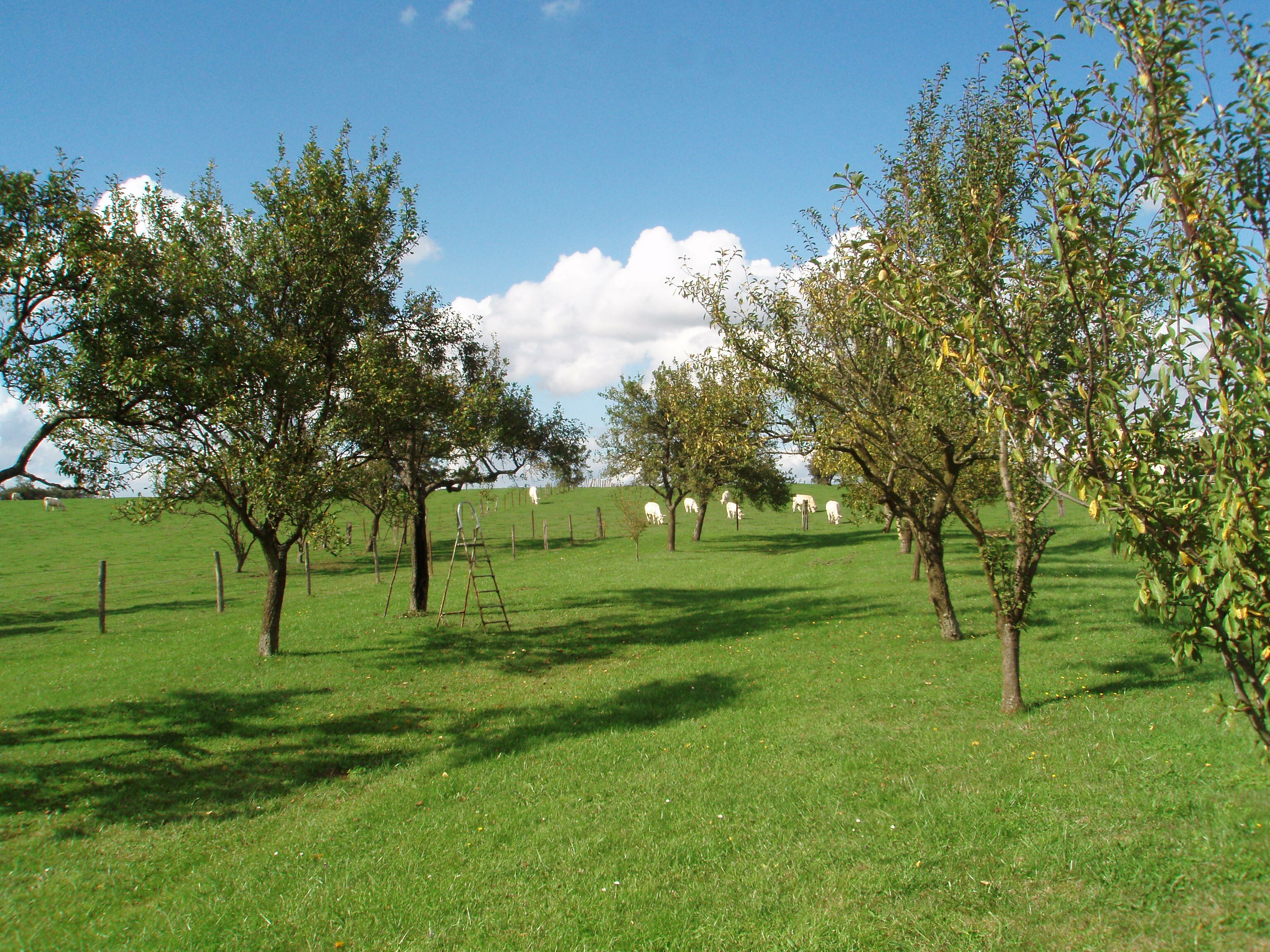 P9171765.JPG